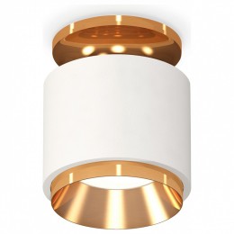 Комплект накладного светильника Ambrella light Techno Spot XS7510120 SWH/PYG белый песок/золото желтое полированное (N7929, C7510, N7034)