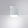 Спот Arte Lamp INTERCRUS A5549PL-1WH от Мир ламп