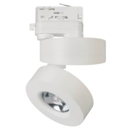 Трехфазный светодиодный светильник Arlight LGD-Mona-Track-4TR-R100-12W White5000 025446