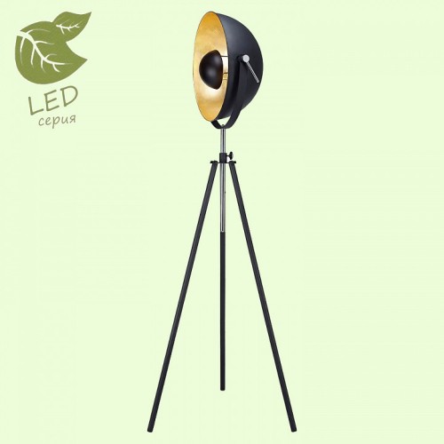Торшер Lussole Sherrelwood GRLSP-9824 от Мир ламп