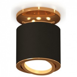 Комплект накладного светильника Ambrella light Techno Spot XS7402100 SBK/PYG черный песок/золото желтое полированное (N7929, C7402, N7004)