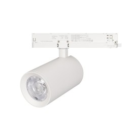 Трехфазный светодиодный светильник Arlight LGD-Nika-4TR-R100-40W Day4000 031175