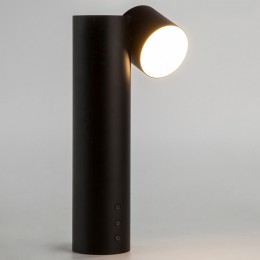 Настольная лампа светодиодная Eurosvet Premier 80425/1 черный