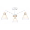 Потолочная люстра Ambrella light Traditional Modern TR9562 от Мир ламп